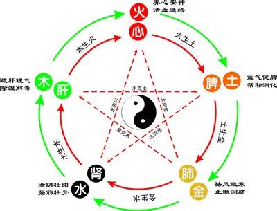 老虎五行|虎字的五行属什么